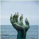 포항시남구8 이미지