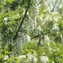 한강시민공원 이미지