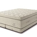 에이스의류 이미지