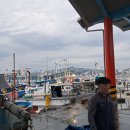 묵호어판장 이미지