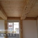 레드파인 이미지