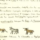 MAGIC TALISMAN 이미지