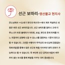 선근도