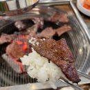 참토우 이미지