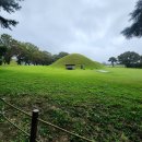 조르바 | 경주 황리단길 능뷰 카페, 조르바 방문 후기