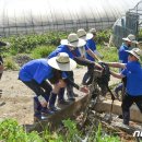 곡성-115 이미지