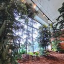 공간의 의미21 | [동탄 실내놀이터] 고마워토토 동탄점 도토리 테마 후기 | 21개월 아기 반응