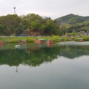 상록 행정사 사무소 이미지