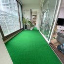 레이지포 | 비숑켄넬 분양후기 레이지포 (깨비)