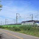 현대크루즈호 이미지