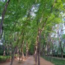 서초장미어린이집 이미지