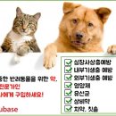 강변약국 이미지