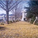 산서중학교 이미지