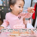지리산약초골 | 유정란 무정란 차이 난각번호 1번 계란 유기농방목마켓