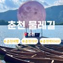 킹 카 | 춘천 이색 액티비티 춘천 물레길 삼악산 케이블카 뷰 카약킹 후기 및 주차, 의암호뷰 카페 풀문 카누...