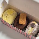 아름동물병원 | 251127 꽃돌탱 탄생기 (무증상 유도분만 실패 후 제왕절개 후기/신도림 아름제일산부인과)