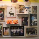 연예인노래연습장 이미지