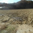 적서리 마을회관 이미지