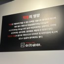 이지비야 이미지