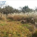 서호동-22 이미지