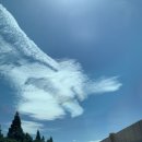 밀양 내마음애풍경 이미지