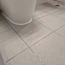 부평드림점 | 부평줄눈 빛드림 홈케어 줄눈시공 체험 후기