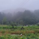 화북면사무소 화장실 네이버블로그