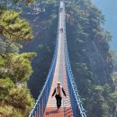 여주-1031 이미지