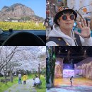 성공렌트카 | 제주도 렌트카 가격비교 무지개렌트카 K5 카모아 후기