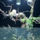 미정복어 | 일산 수족관 카페 가볼만한 곳 데이트 추천 아쿠아가든 일산점 주말 후기