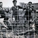 시간이 남아 한번 찾아본 대한민국 대표팀의 1954 월드컵 까지의 A매치 기록 이미지