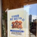모아나브런치&파스타 | [부산 화명동] 모아나 | 낮과 밤이 모두 예쁜 분위기 좋은 동네 아지트 내돈내산 후기
