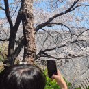 헤어온의원 이미지