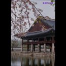 솔로몬고시원 - 노원구 동일로243길 37 | 솔로몬고시원