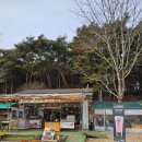 장안사매점
