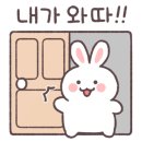 바르체바른체형운동