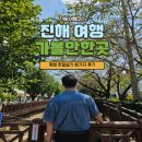 중원동로-1 | 진해 여행코스 추천 : 창원 가볼만한곳