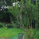 더숲펜션8027 이미지