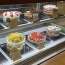 롯대 | 성심당 롯대백화점 리뉴얼 평일후기, 말차시루 웨이팅, 말차튀소, 포카피자