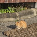 마리호텔 | 주차 걱정 없는 아산 출장 호텔, 마리호텔 숙박 후기
