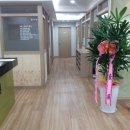 효제한의원 Daum카페