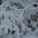 베데스다농장 이미지