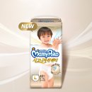 포코 이미지