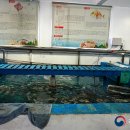 갯지렁이 전시관 이미지