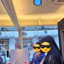 돈룩업전남대