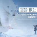 곰텔레콤 이미지