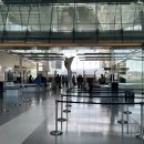 문(door) | 호주 워홀+403 브리즈번공항에서 시티가는 방법, tiny door