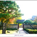 영주 소수서원 이미지