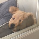 천사택시(주)노동조합 | [11/26~11/30]일기장 사려다가 말음