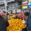 홈그린 마트 | 오픈 파격 행사 중인 홈마트 고산점 오픈런 후기 이용 꿀팁!